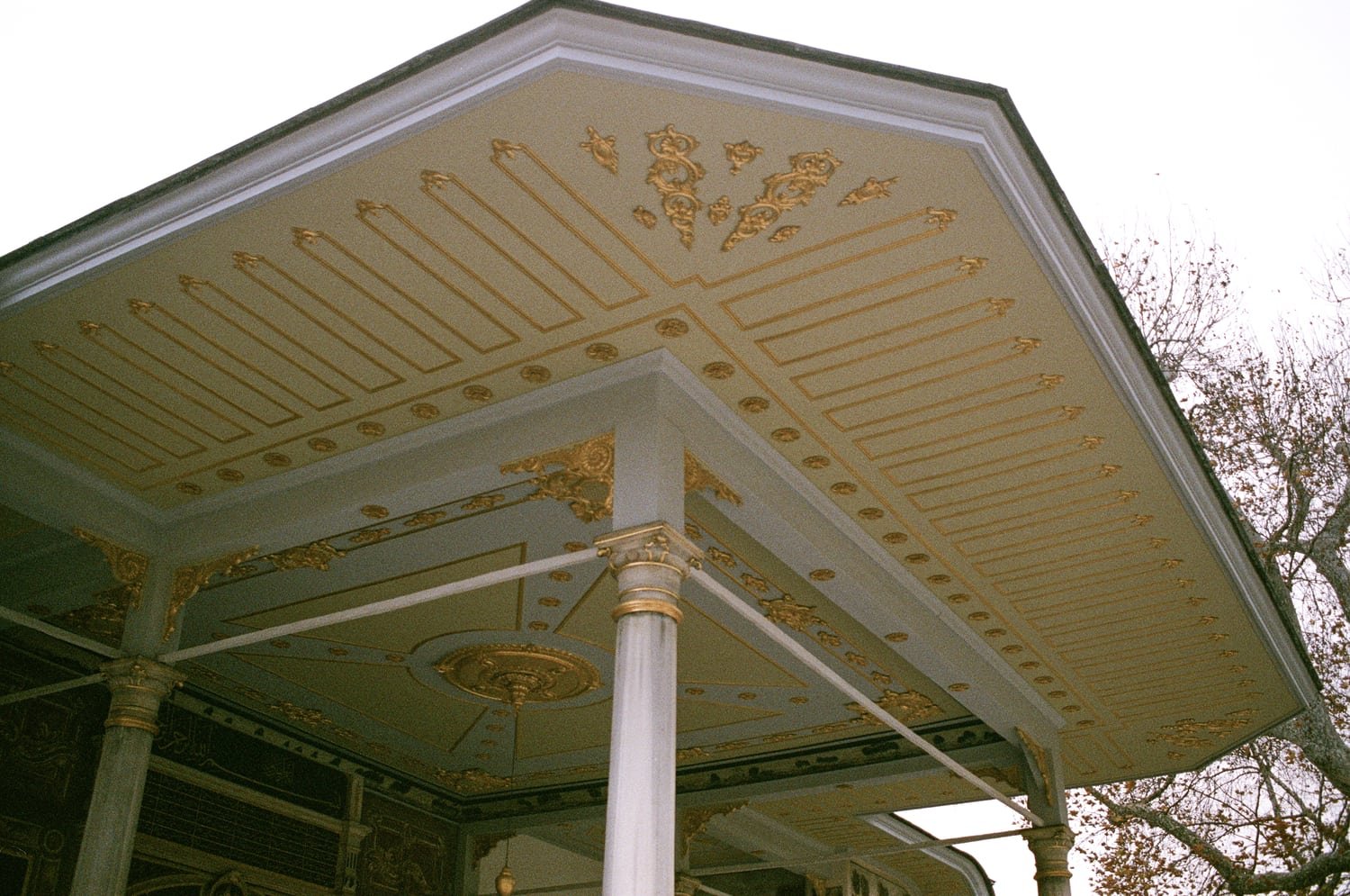 Ornate gazebo ceiling