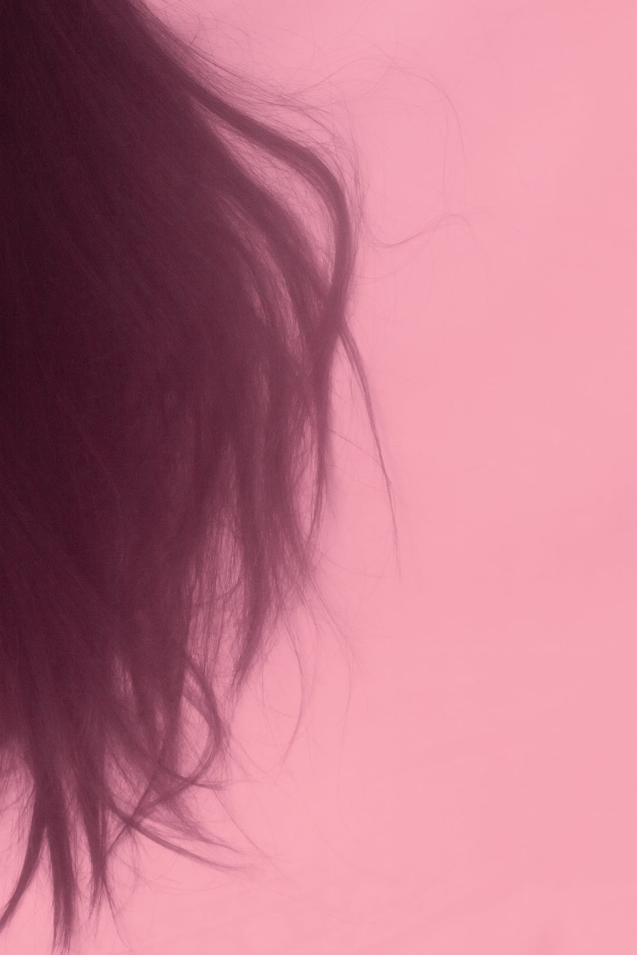 Hair against a pink background