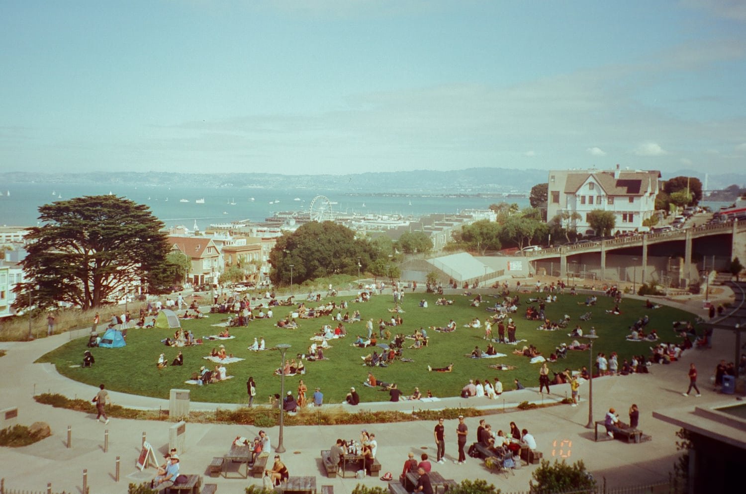Aerial view of a park by the bay